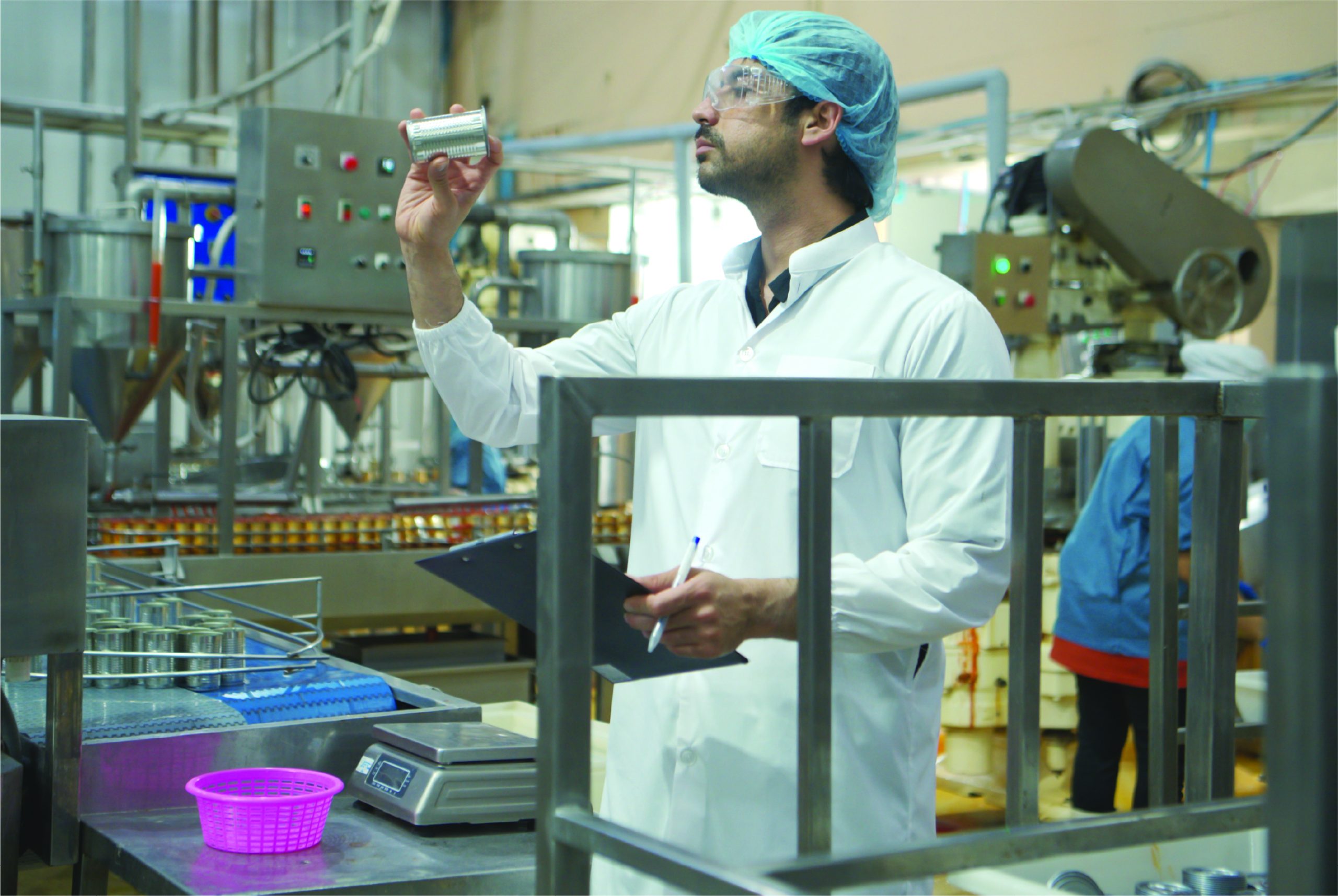 Manufacturing (Electronics & Automobile)